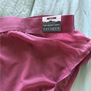 30/32 Mauve Pink Mesh Panties -Cacique